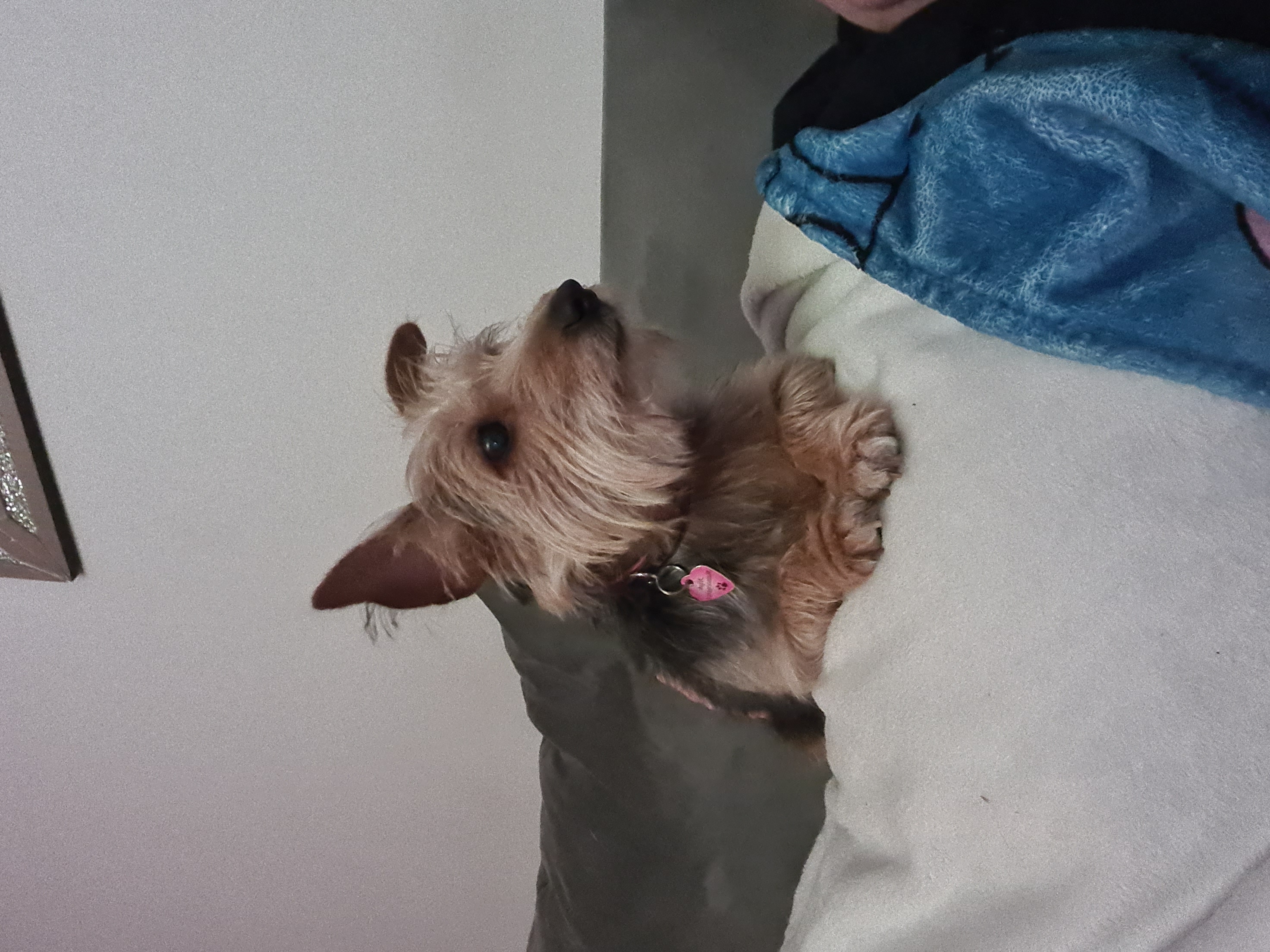 Every Paw Deserves Unconditional Love